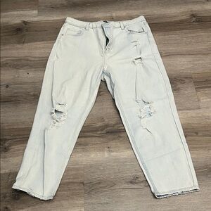 Wild Fable Light Blue Distressed Cropped Pants